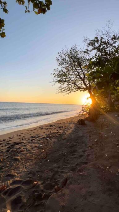 Luxury Beach Front Apartment In Palenque Juan Baron Екстериор снимка